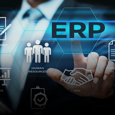 ERP System case study 